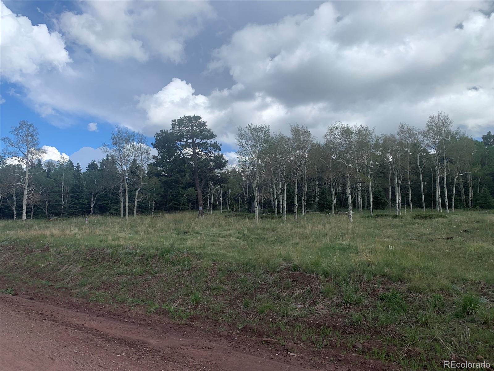 2941 Forbes Park Road Fort Garland CO 81133