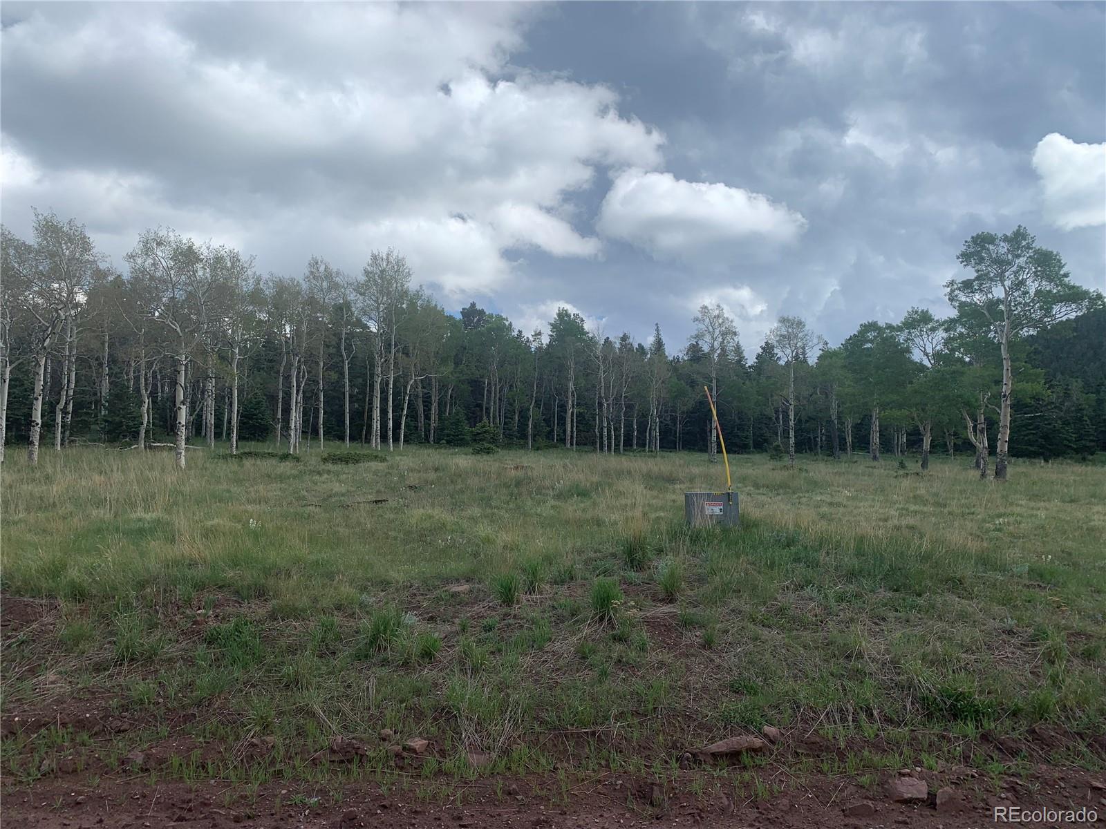 2941 Forbes Park Road Fort Garland CO 81133