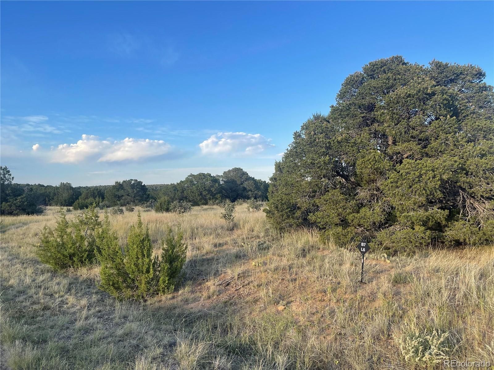 L5 B7 Rocky Mountain Drive Walsenburg CO 81089