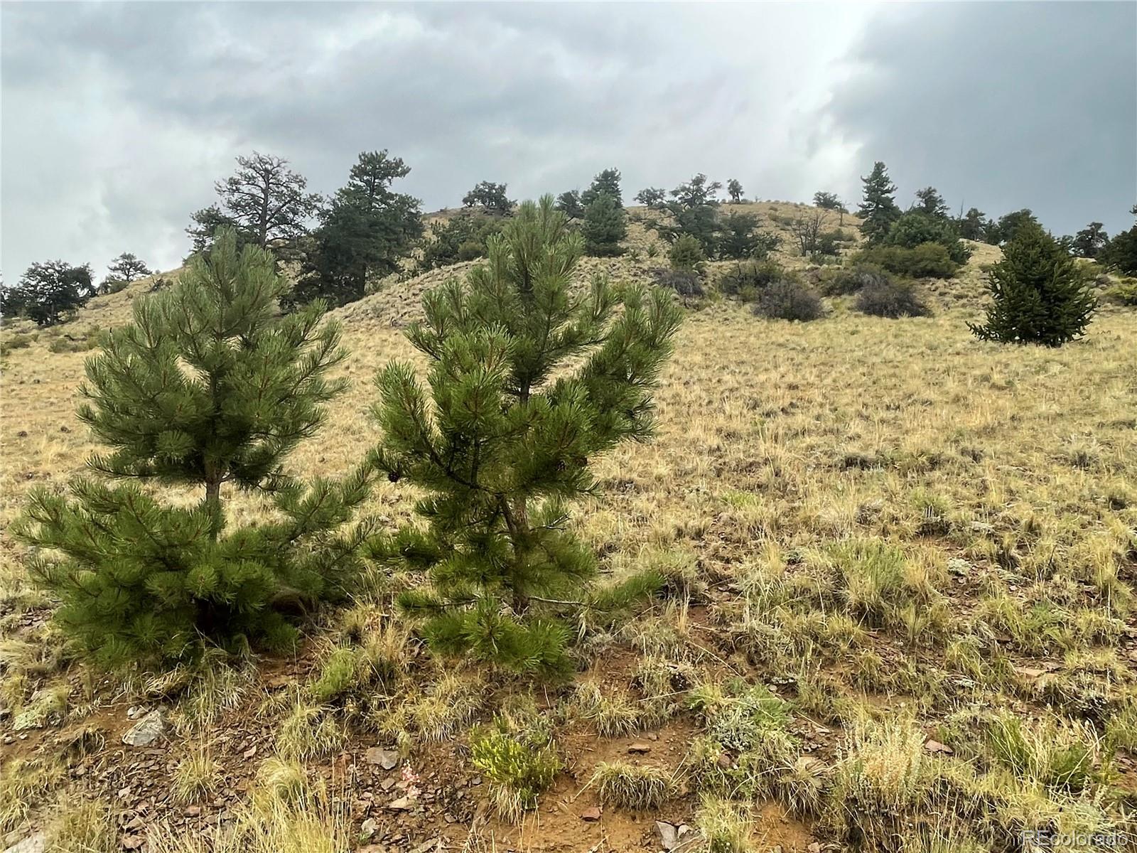 901 Elkhorn View Drive Como CO 80432