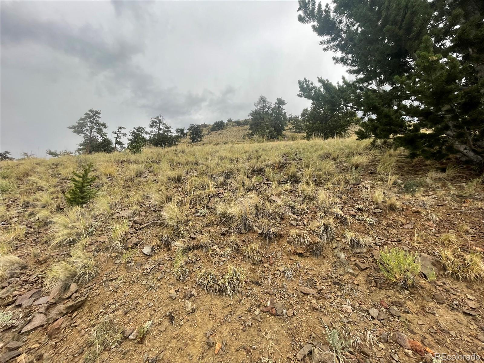 901 Elkhorn View Drive Como CO 80432
