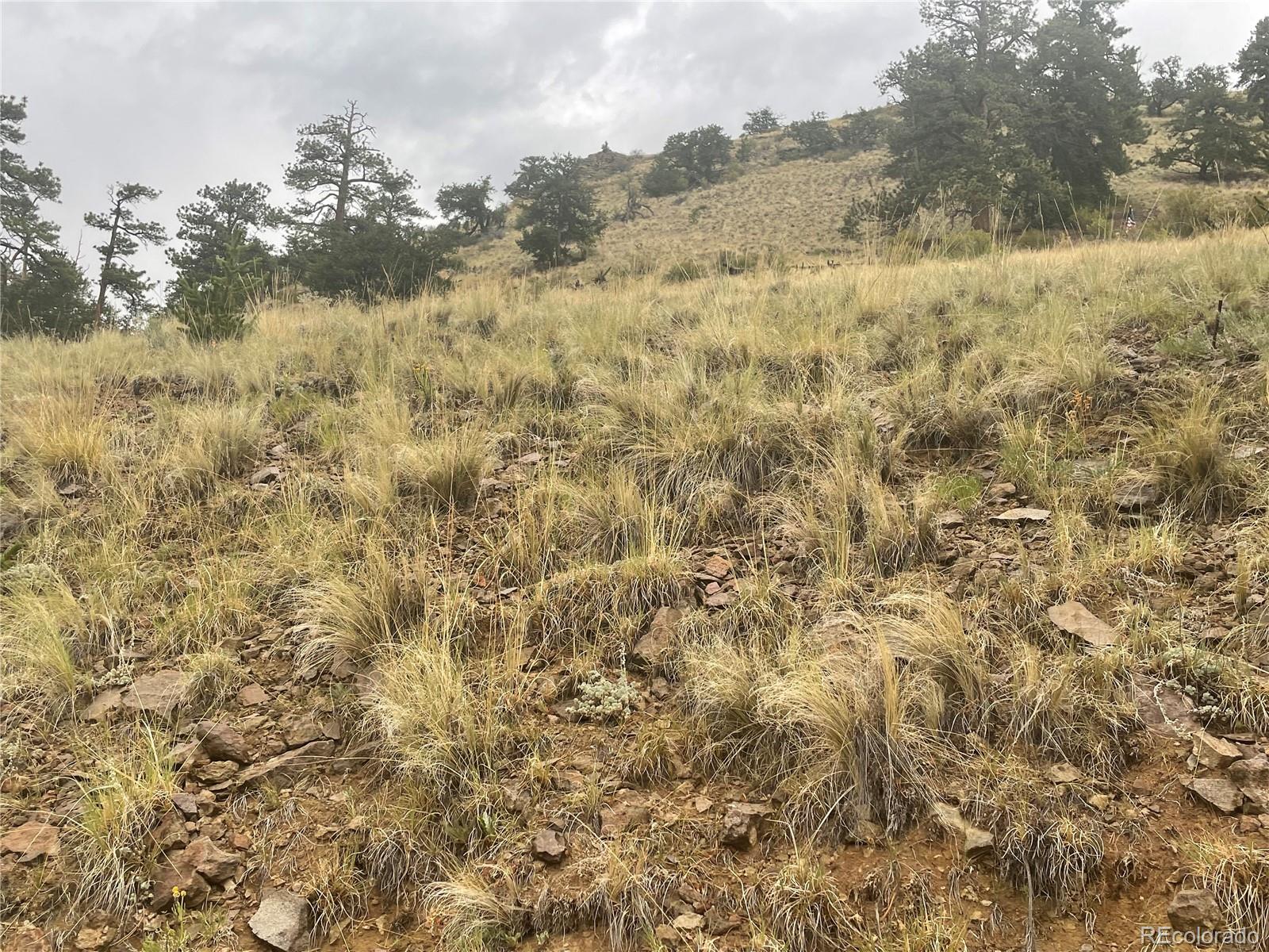 901 Elkhorn View Drive Como CO 80432