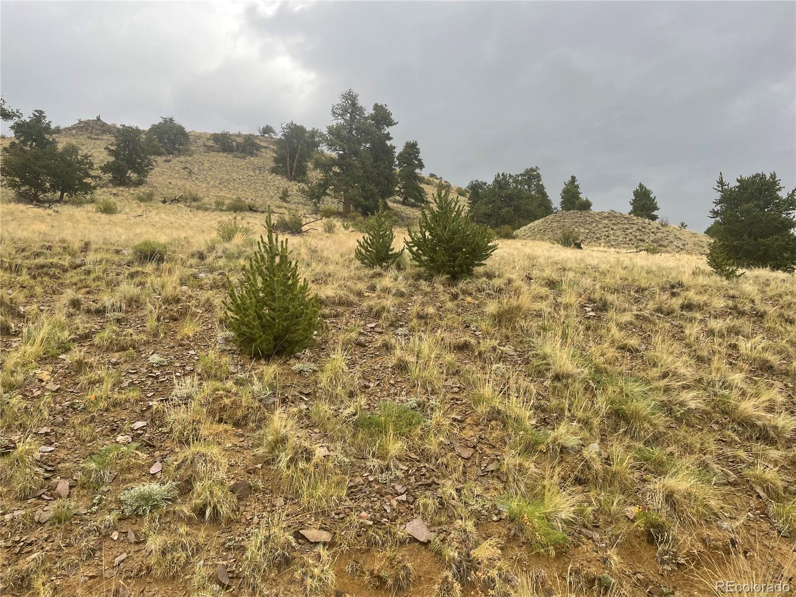 901 Elkhorn View Drive Como CO 80432