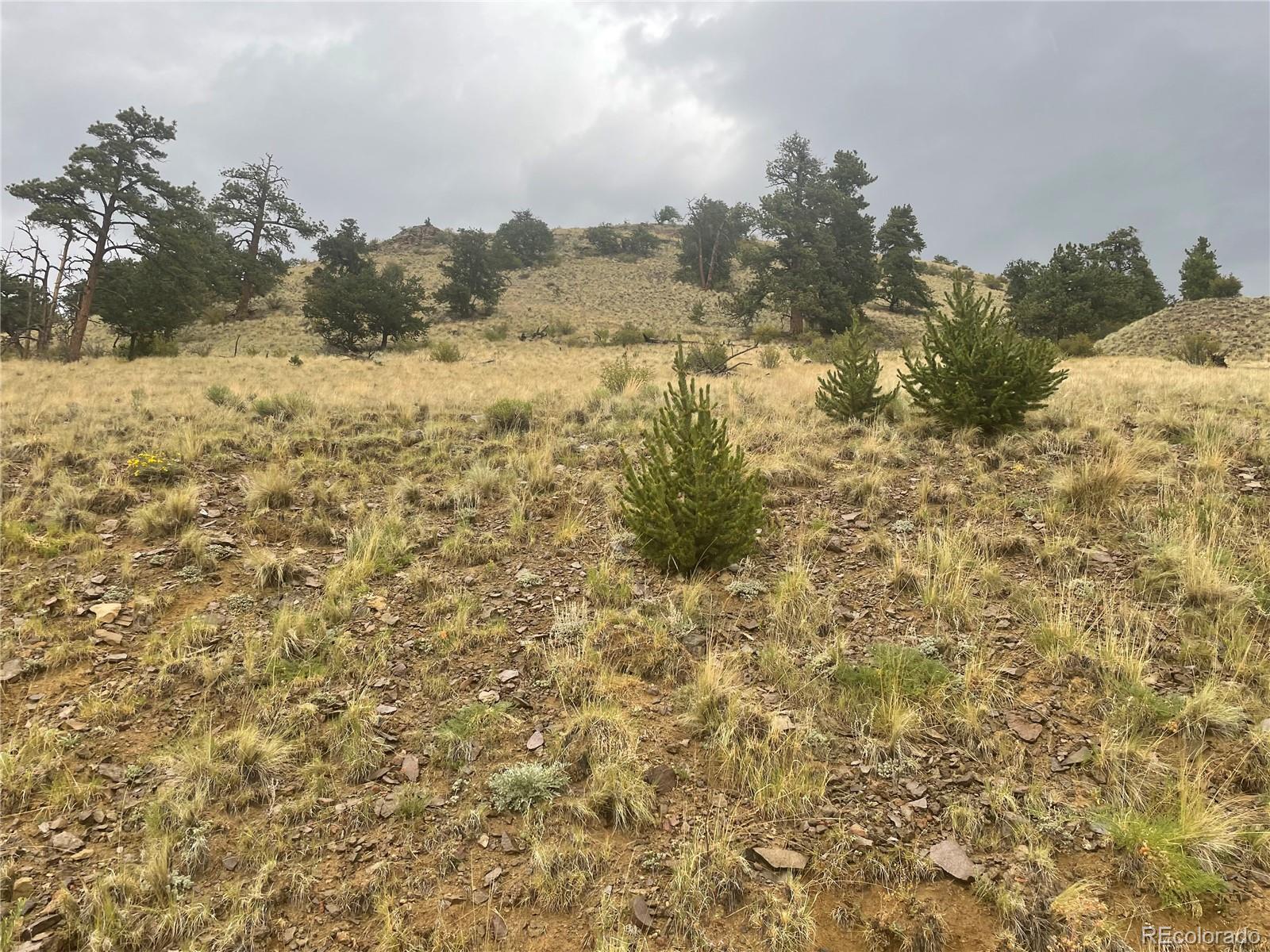 901 Elkhorn View Drive Como CO 80432