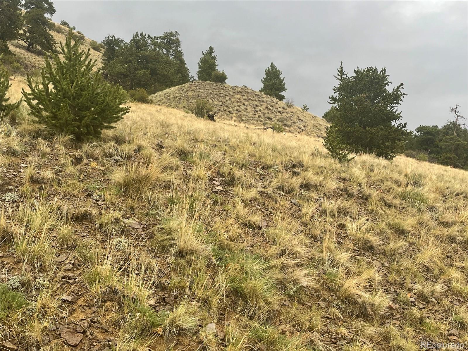 901 Elkhorn View Drive Como CO 80432
