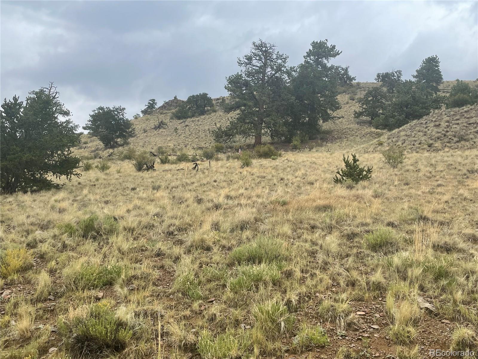 901 Elkhorn View Drive Como CO 80432