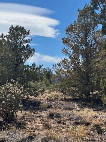 L29-30 B2 Orlando's Way Walsenburg CO 81089