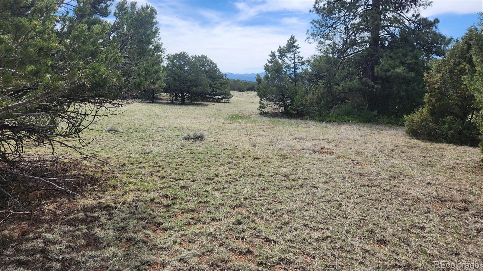 Tbd L 20th Trail Cotopaxi CO 81223