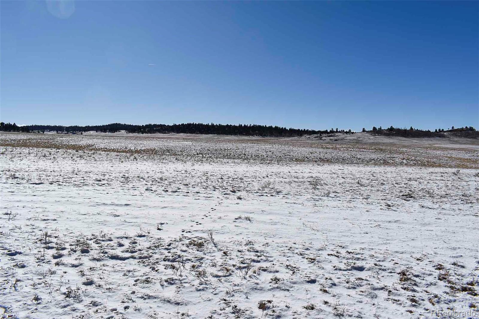 6983 County Road 53 Hartsel CO 80449