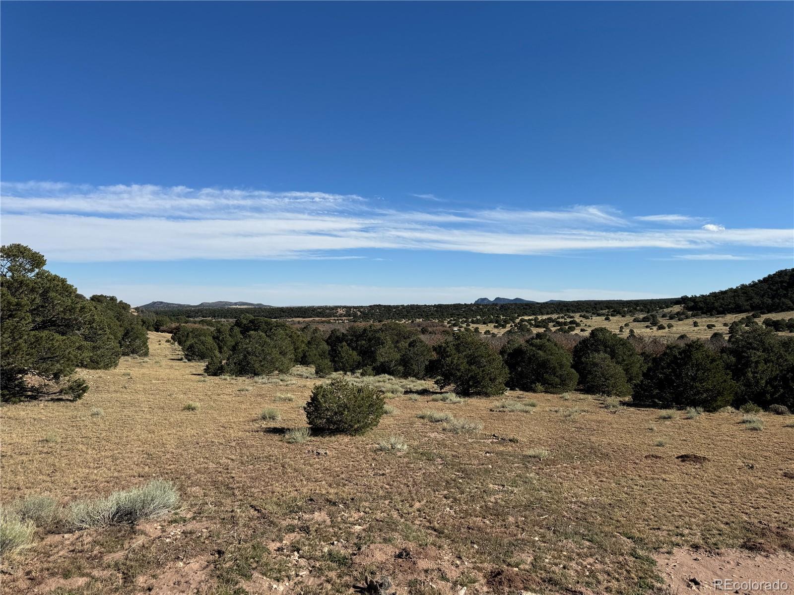 L41 Co Road 531 Cl&g Unit Bb Walsenburg CO 81089