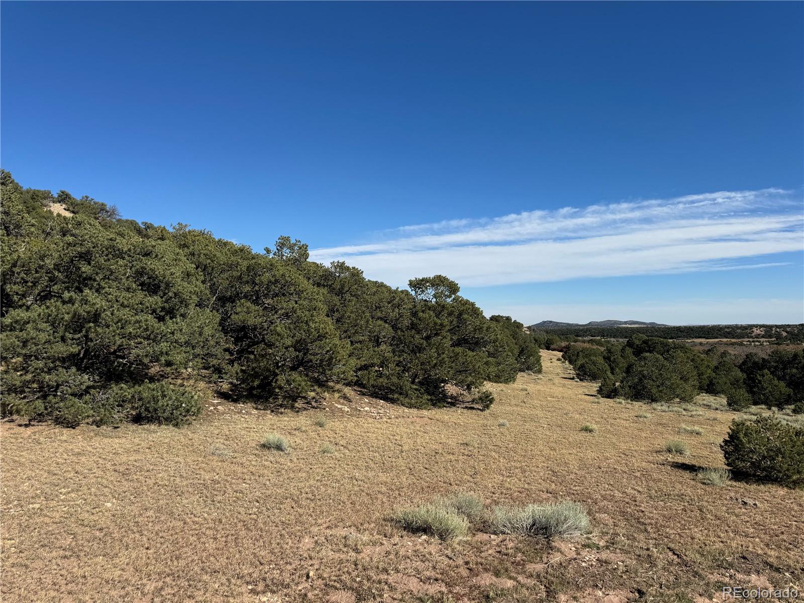 L41 Co Road 531 Cl&g Unit Bb Walsenburg CO 81089