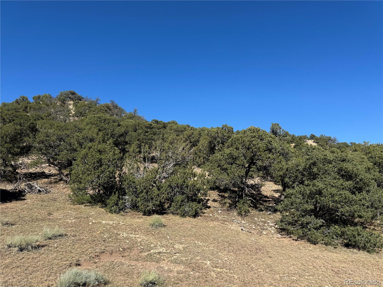 L41 Co Road 531 Cl&g Unit Bb Walsenburg CO 81089