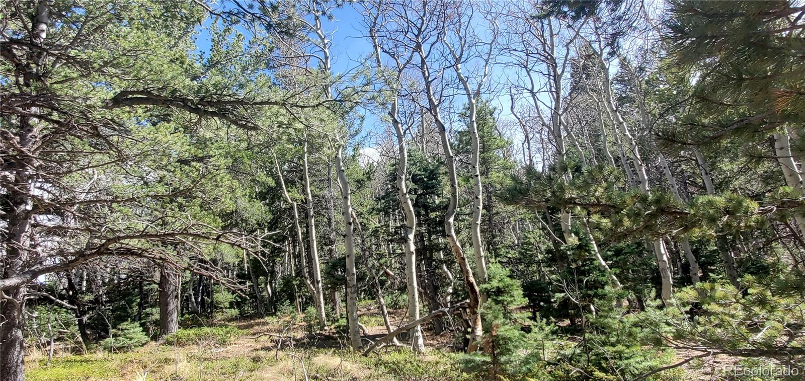 Lot 2560 Grojean Drive Fort Garland CO 81133