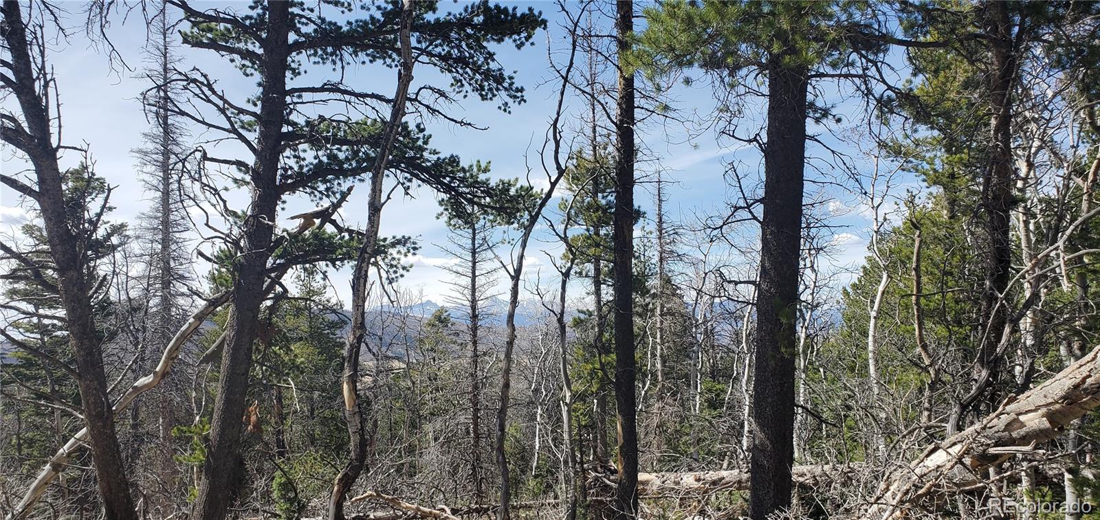 Lot 2560 Grojean Drive Fort Garland CO 81133