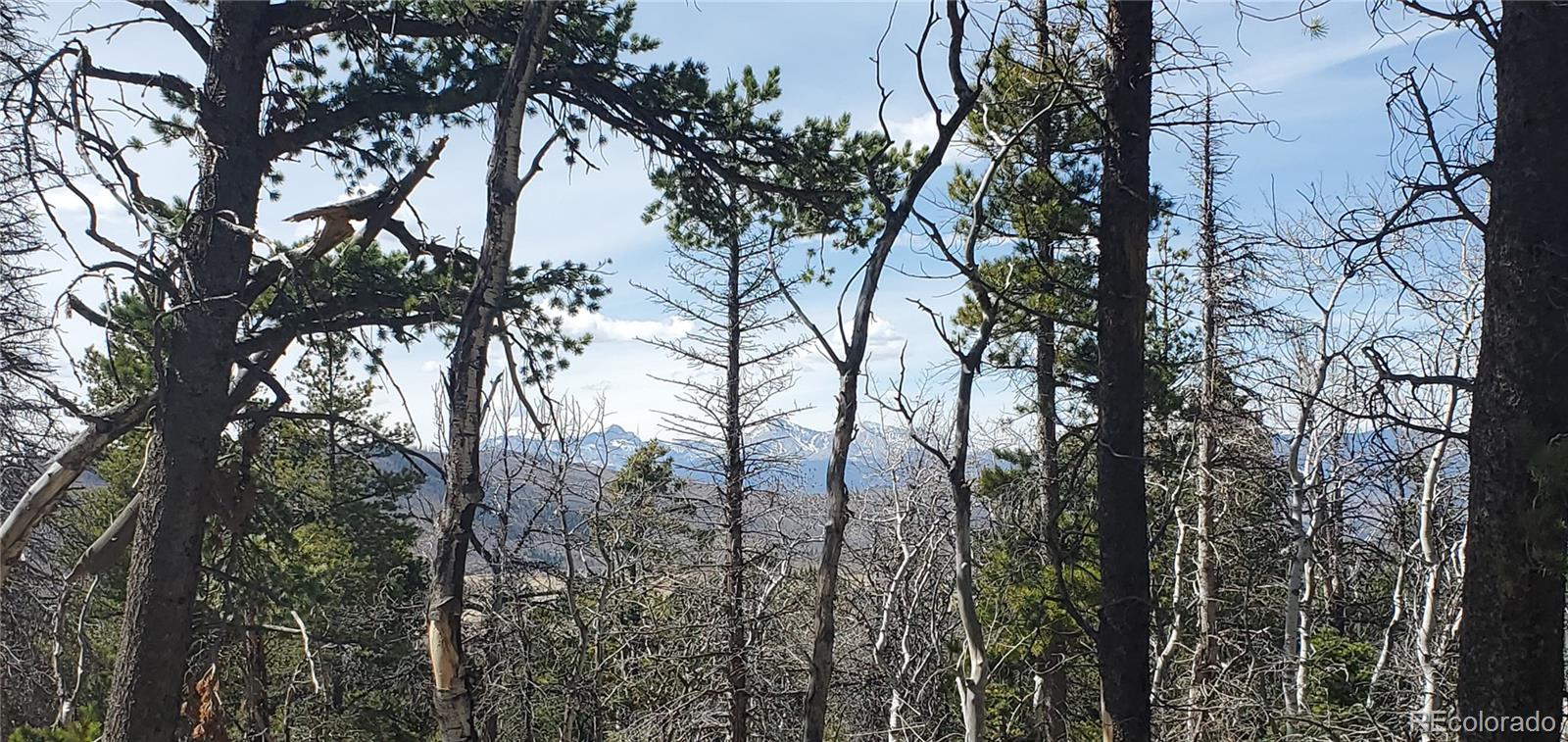 Lot 2560 Grojean Drive Fort Garland CO 81133