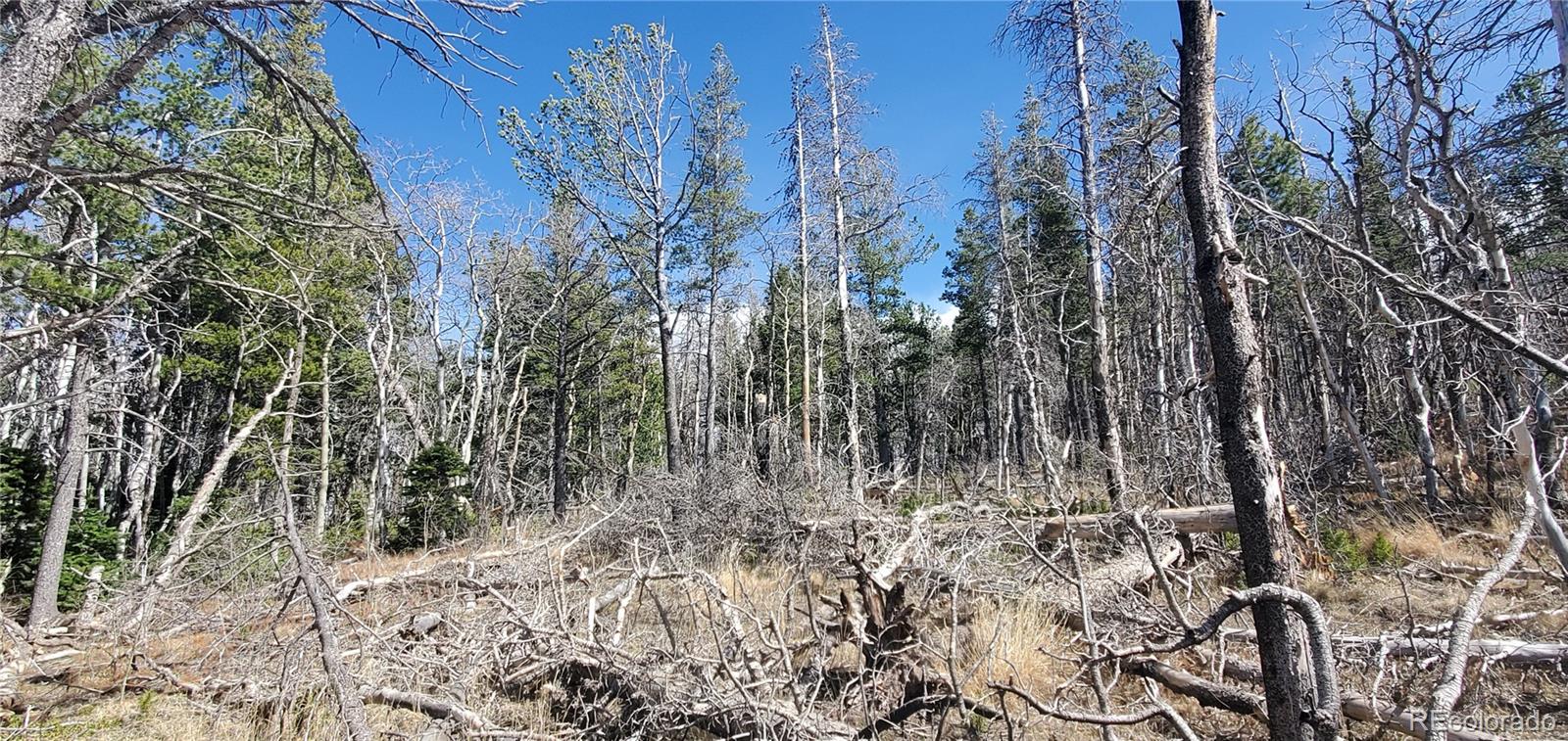 Lot 2560 Grojean Drive Fort Garland CO 81133