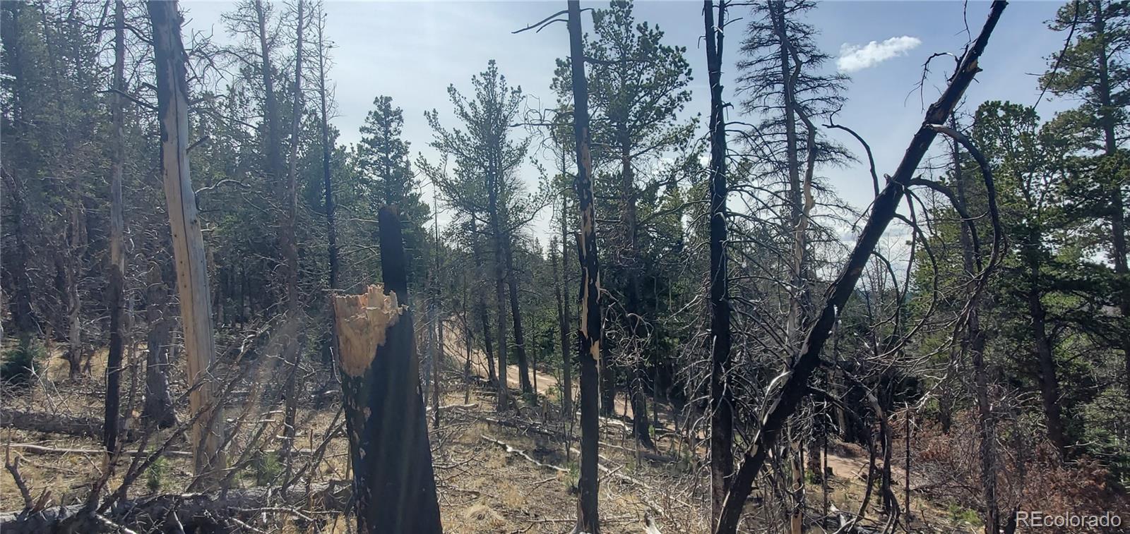 Lot 2560 Grojean Drive Fort Garland CO 81133
