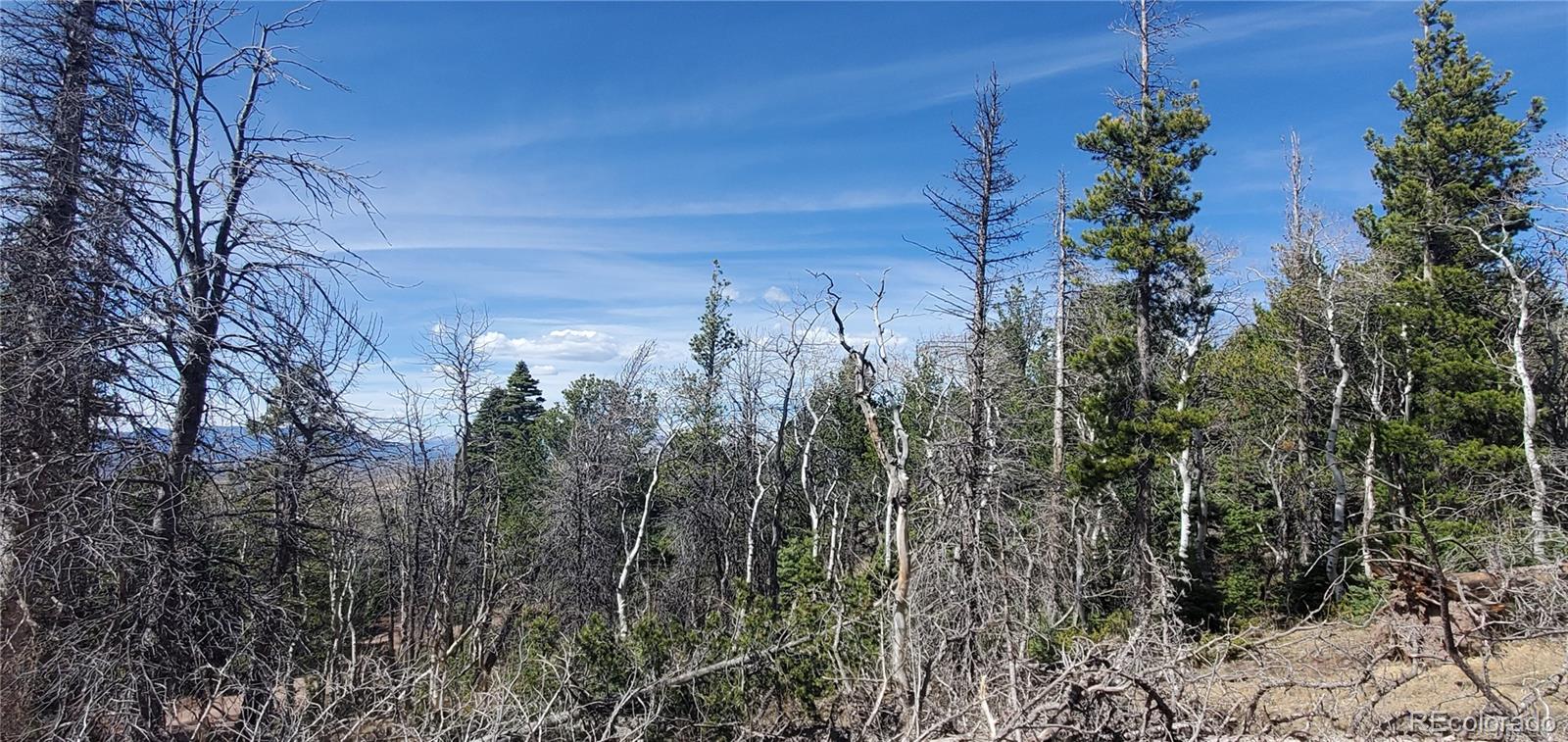 Lot 2560 Grojean Drive Fort Garland CO 81133