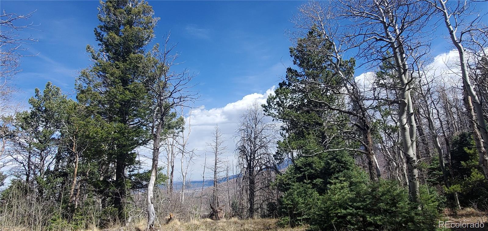 Lot 2560 Grojean Drive Fort Garland CO 81133