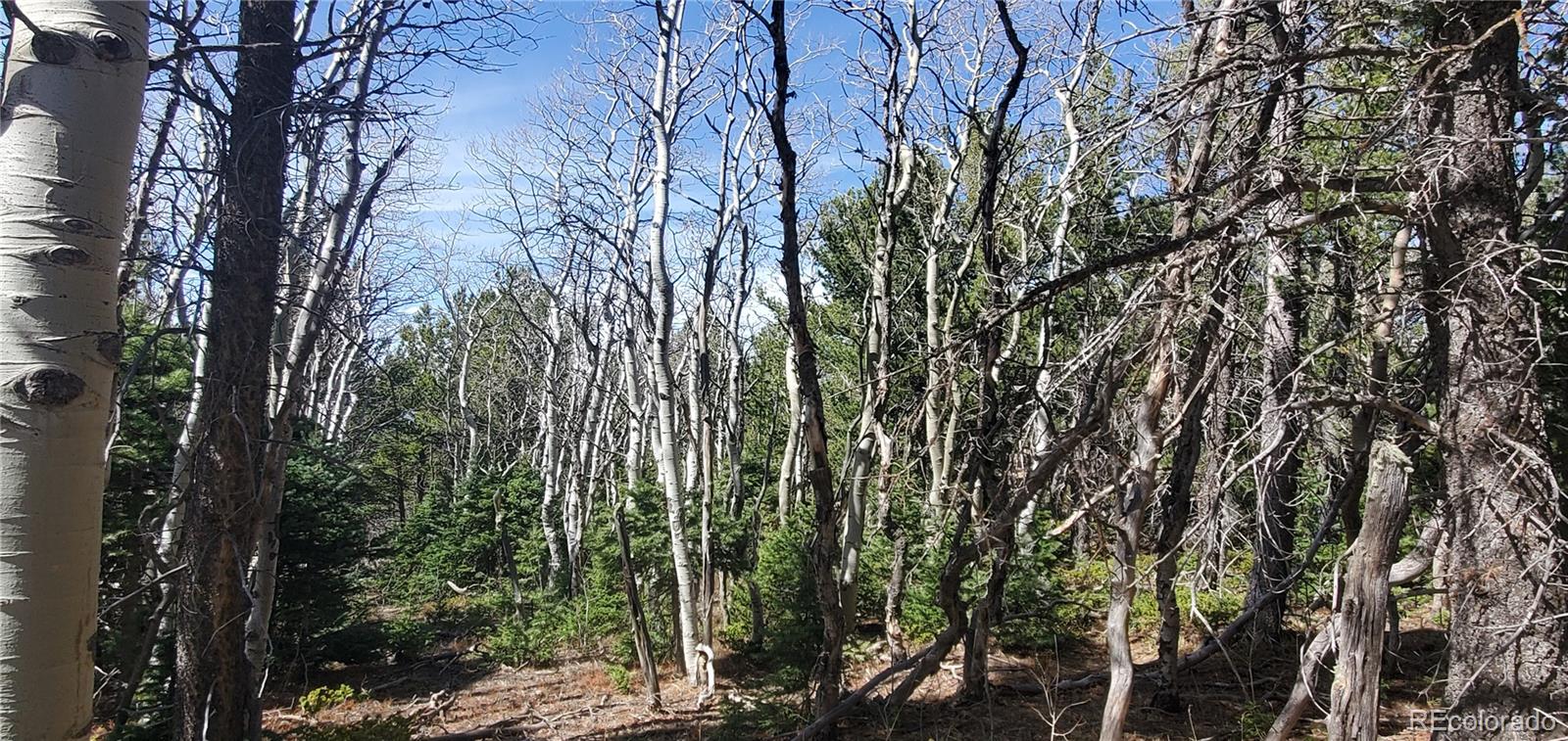 Lot 2560 Grojean Drive Fort Garland CO 81133