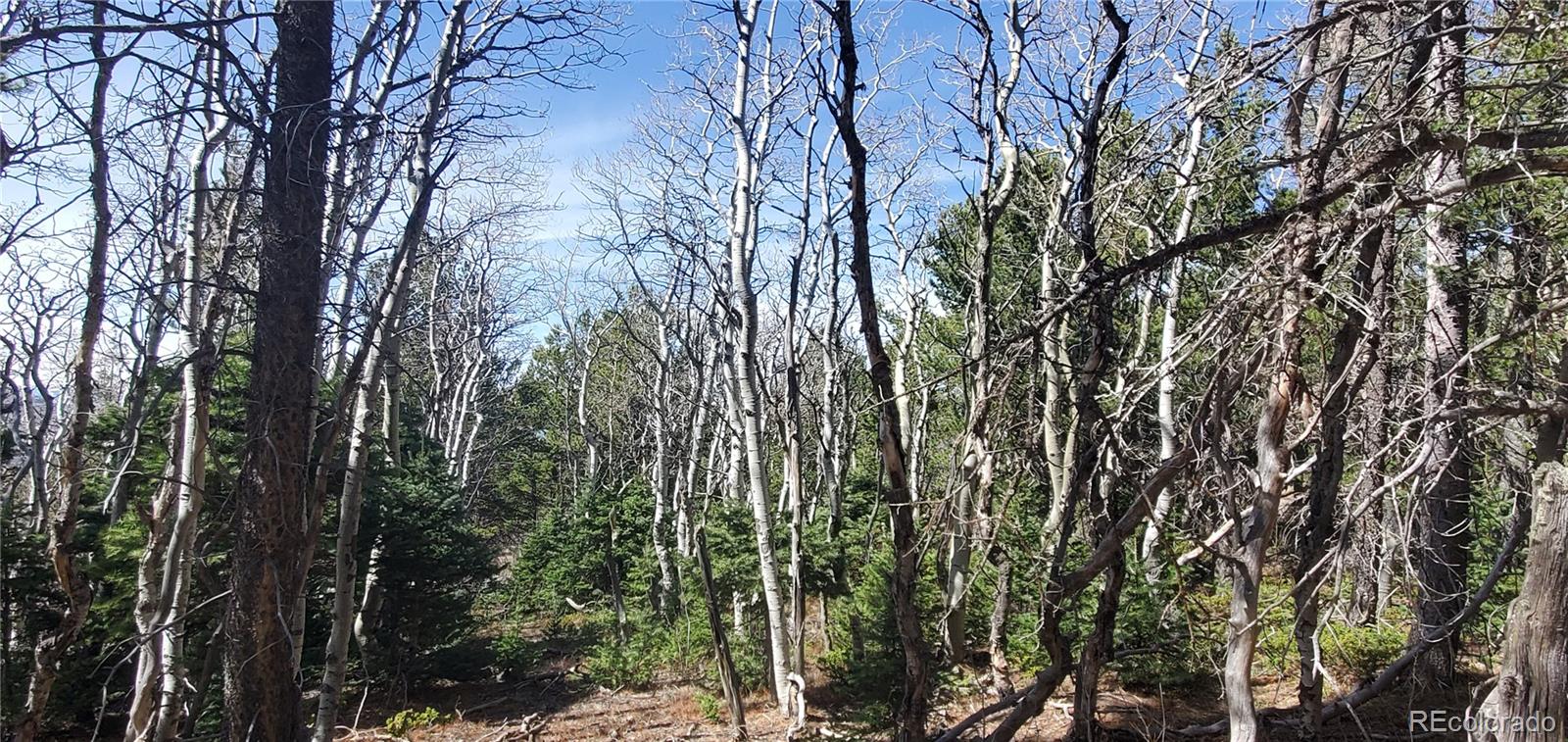 Lot 2560 Grojean Drive Fort Garland CO 81133