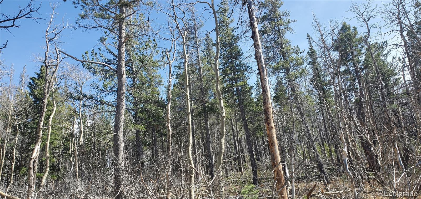 Lot 2560 Grojean Drive Fort Garland CO 81133