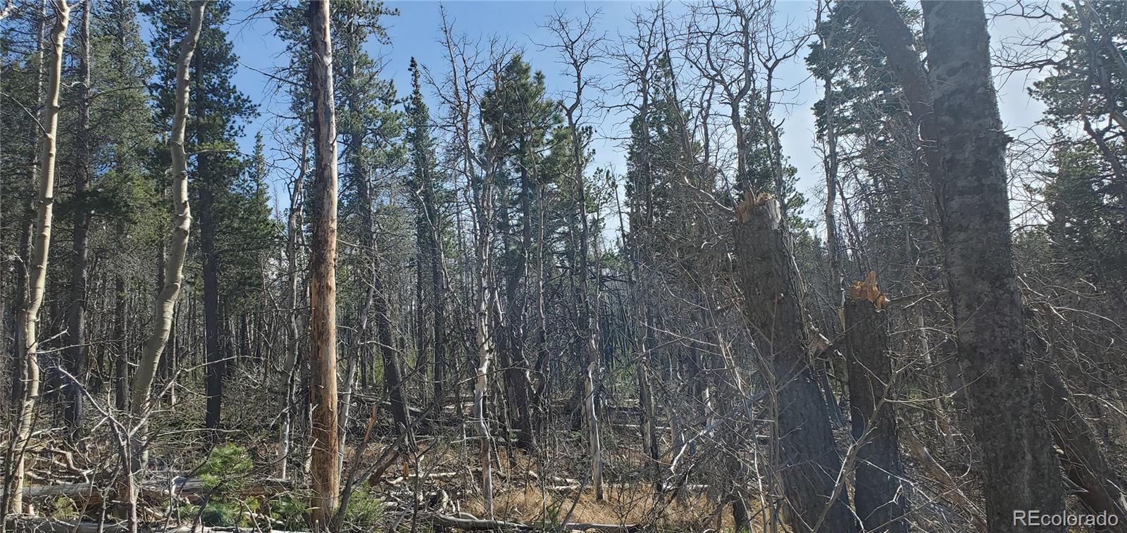 Lot 2560 Grojean Drive Fort Garland CO 81133