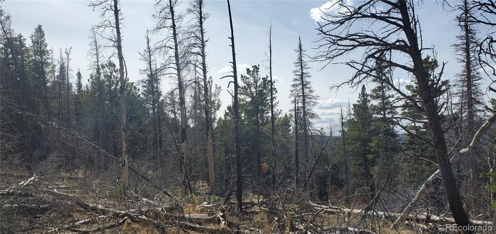 Lot 2560 Grojean Drive Fort Garland CO 81133