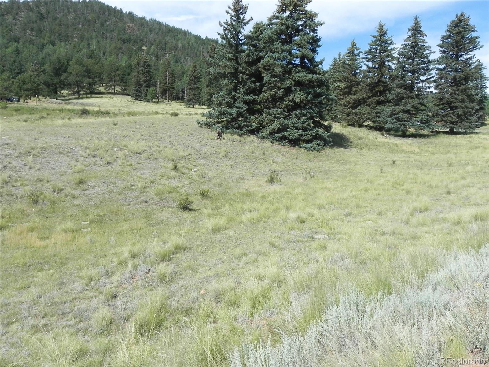 53 Nickel Plate Road Cripple Creek CO 80813