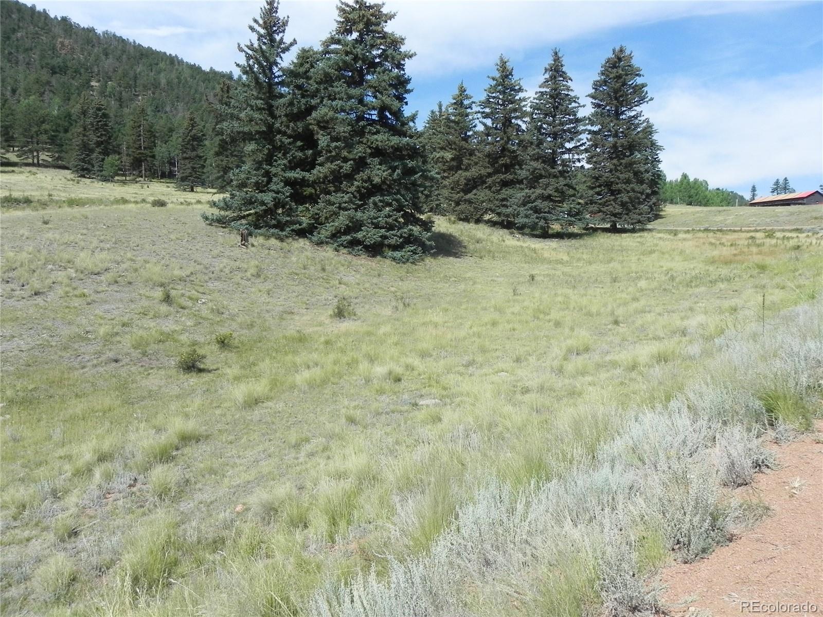 53 Nickel Plate Road Cripple Creek CO 80813