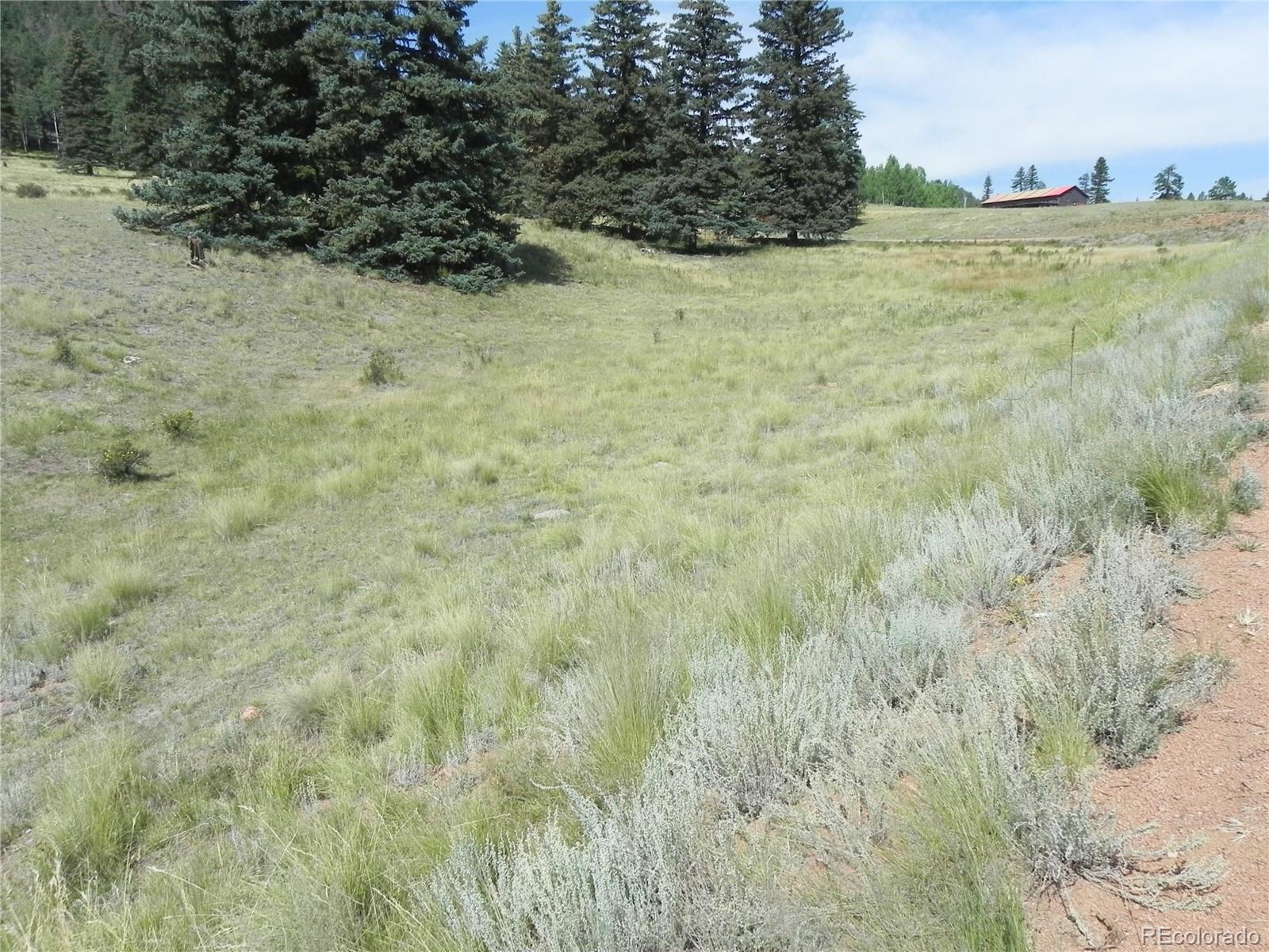 53 Nickel Plate Road Cripple Creek CO 80813