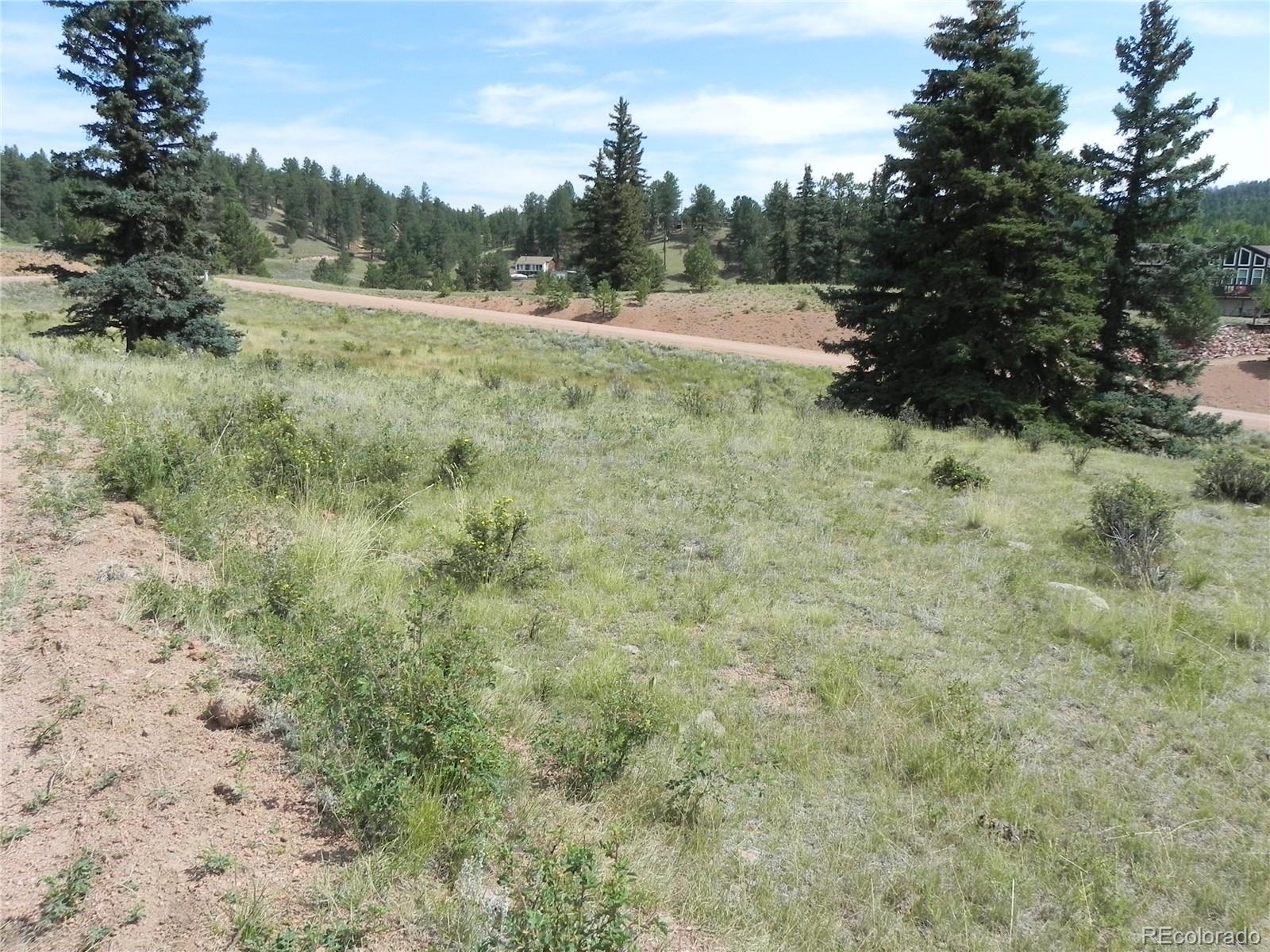 53 Nickel Plate Road Cripple Creek CO 80813