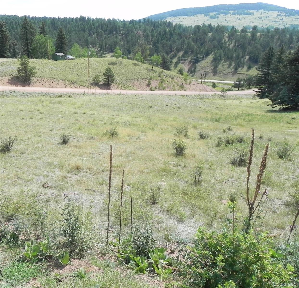 53 Nickel Plate Road Cripple Creek CO 80813