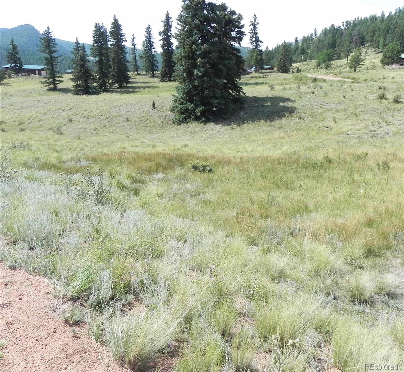 53 Nickel Plate Road Cripple Creek CO 80813