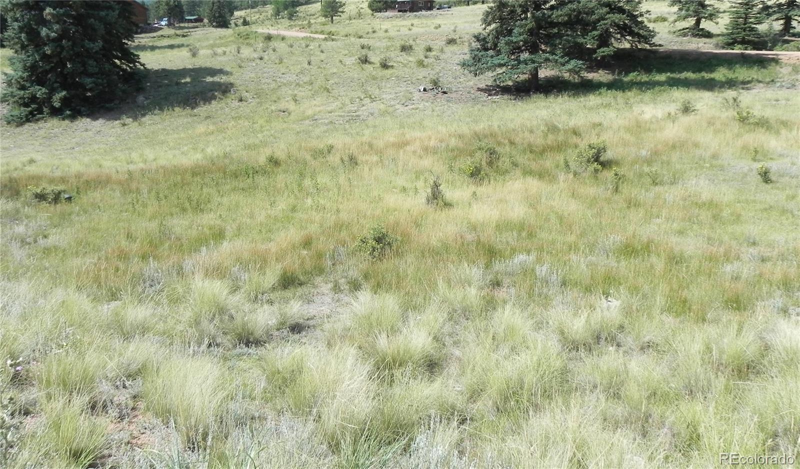 53 Nickel Plate Road Cripple Creek CO 80813
