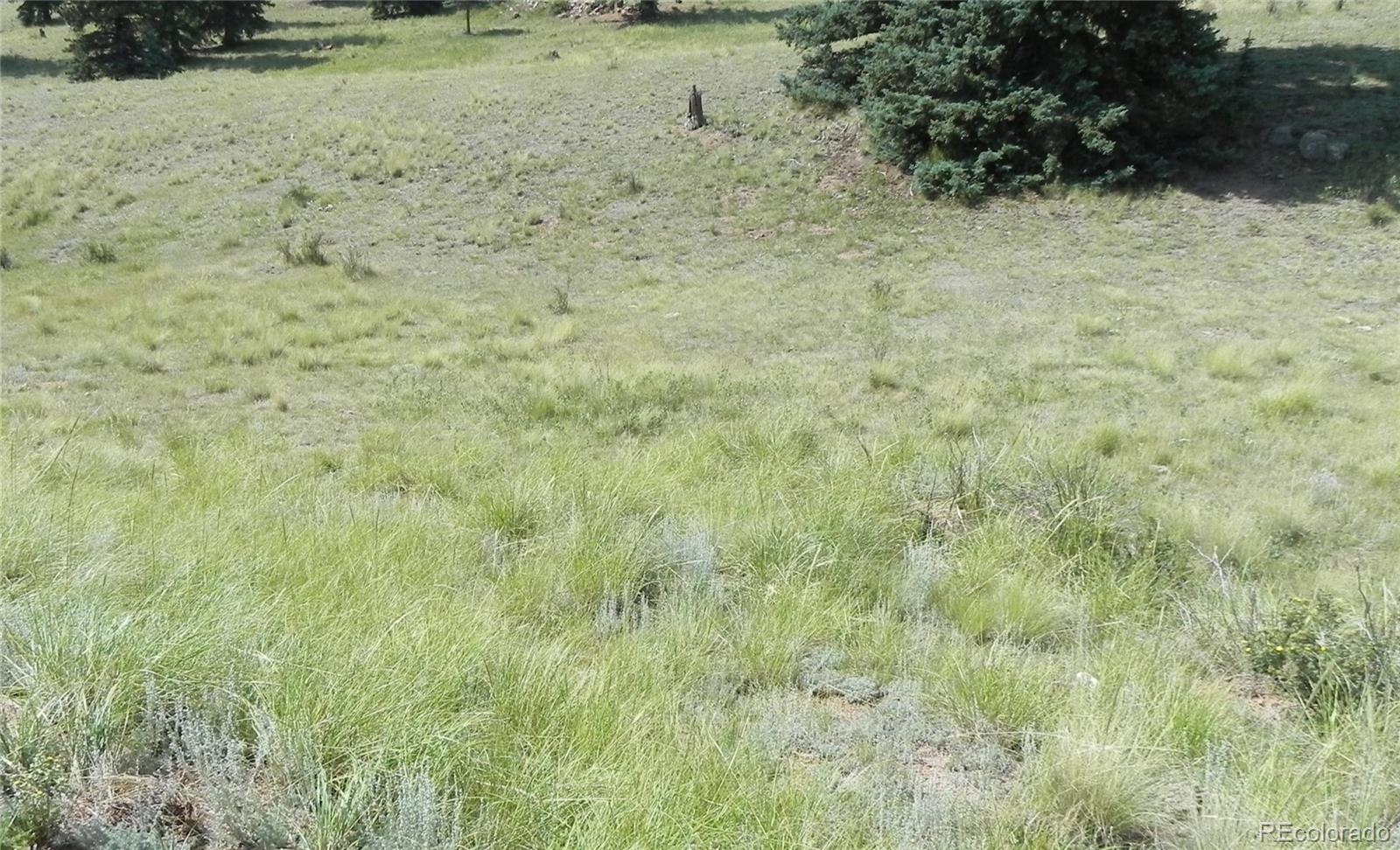 53 Nickel Plate Road Cripple Creek CO 80813