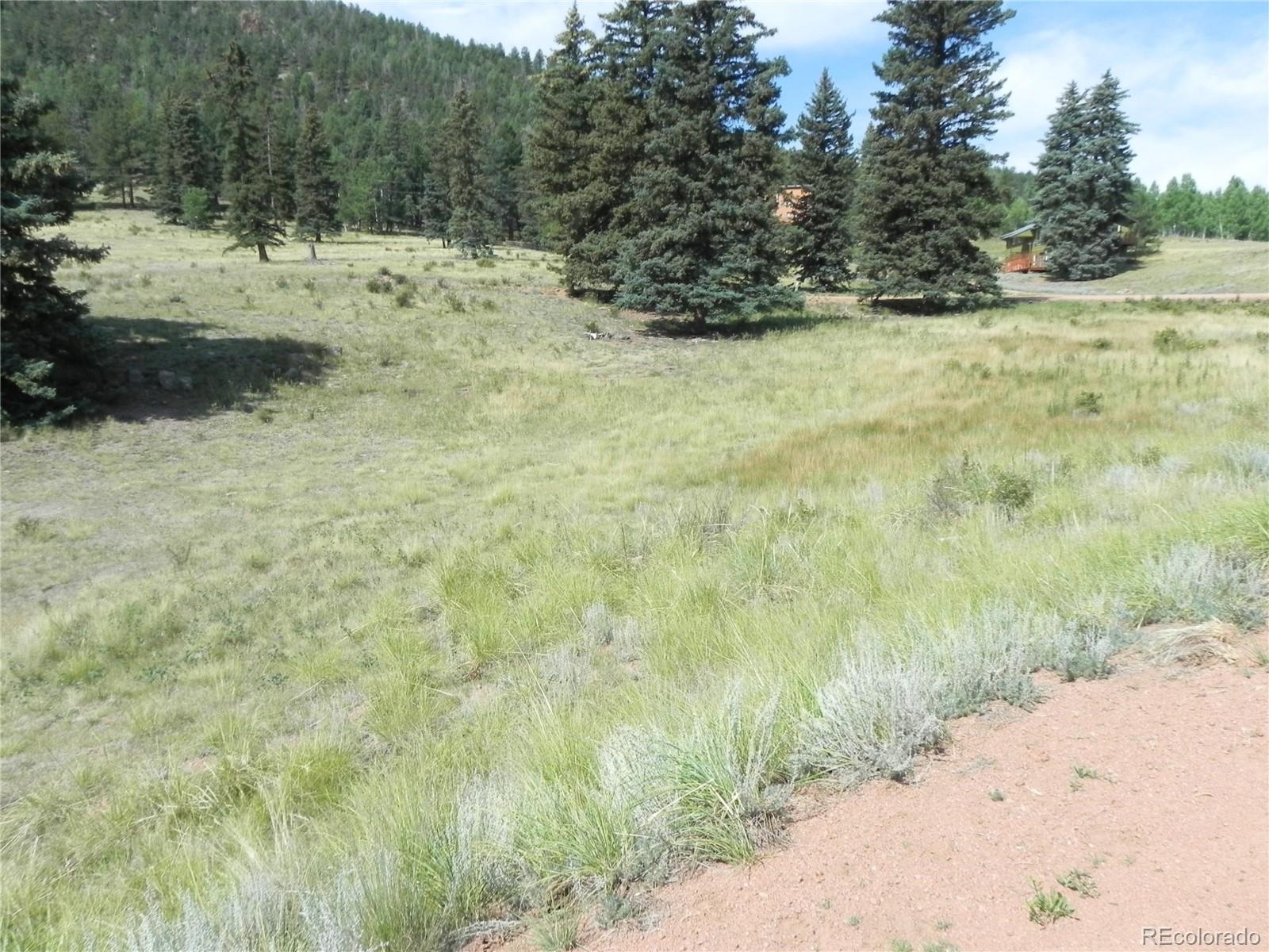 53 Nickel Plate Road Cripple Creek CO 80813