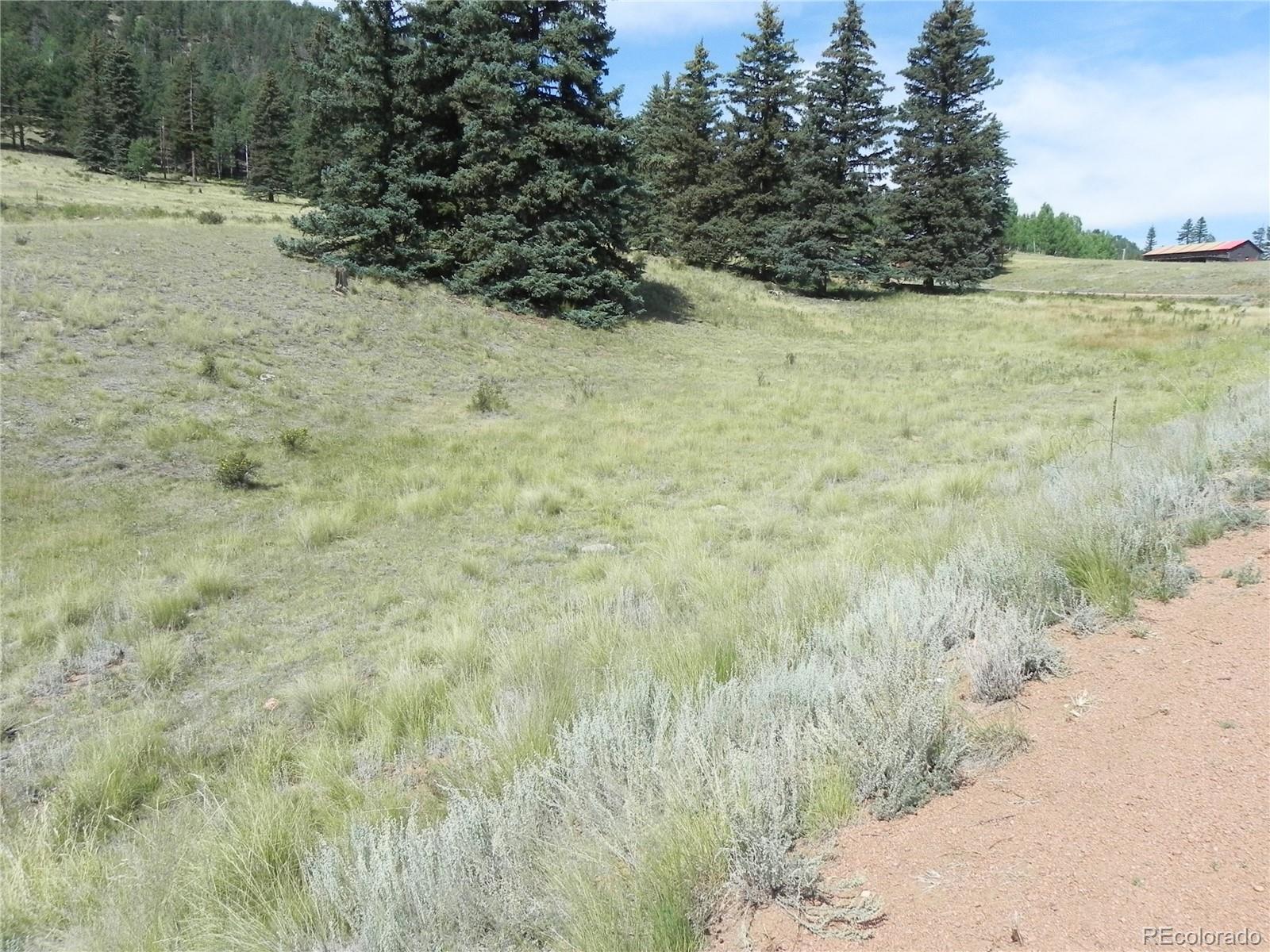 53 Nickel Plate Road Cripple Creek CO 80813