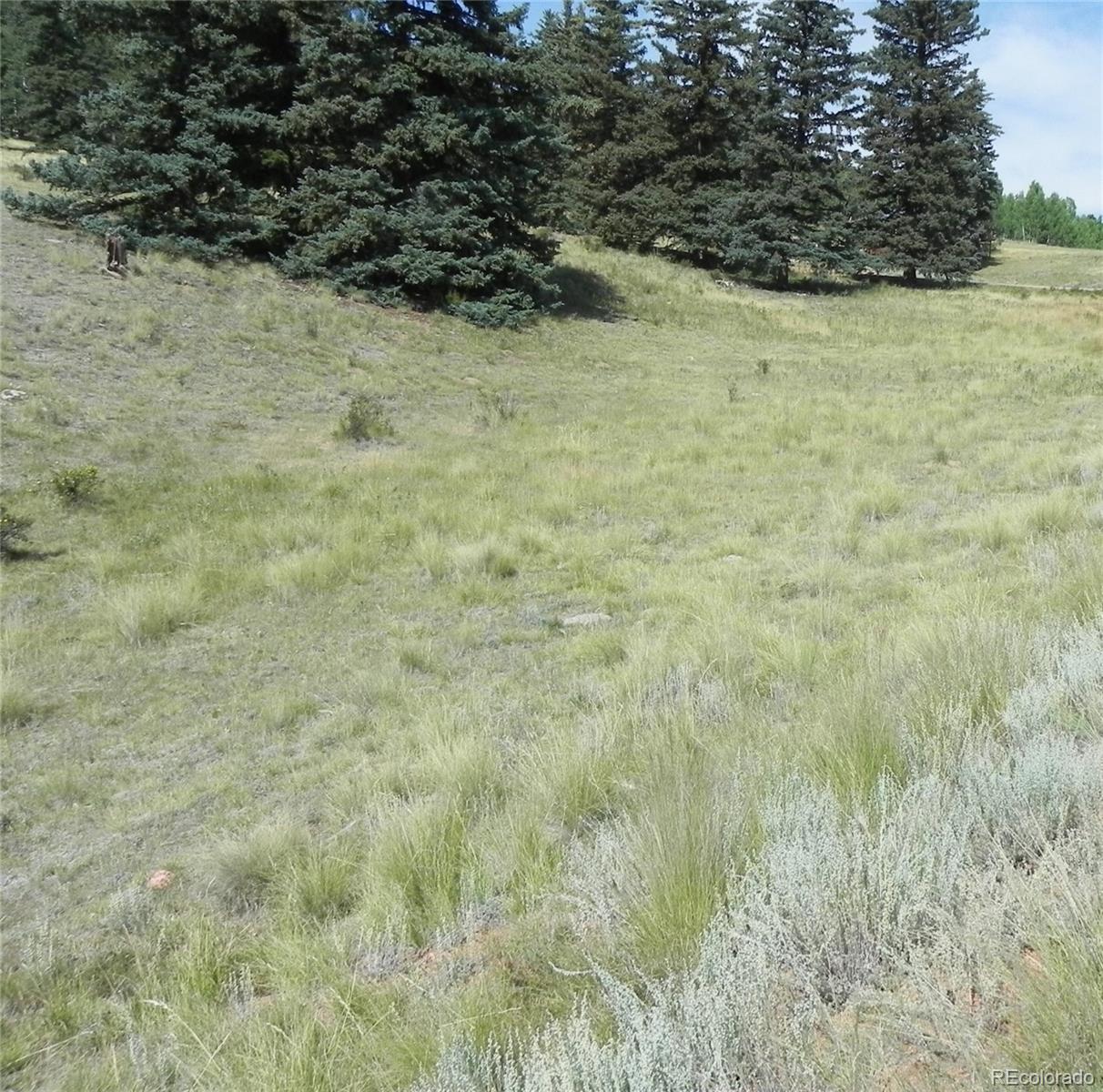 53 Nickel Plate Road Cripple Creek CO 80813