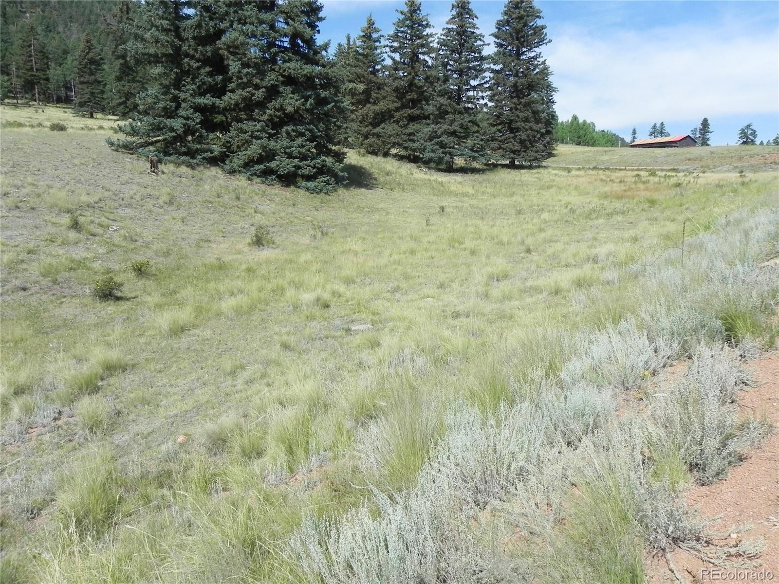 53 Nickel Plate Road Cripple Creek CO 80813