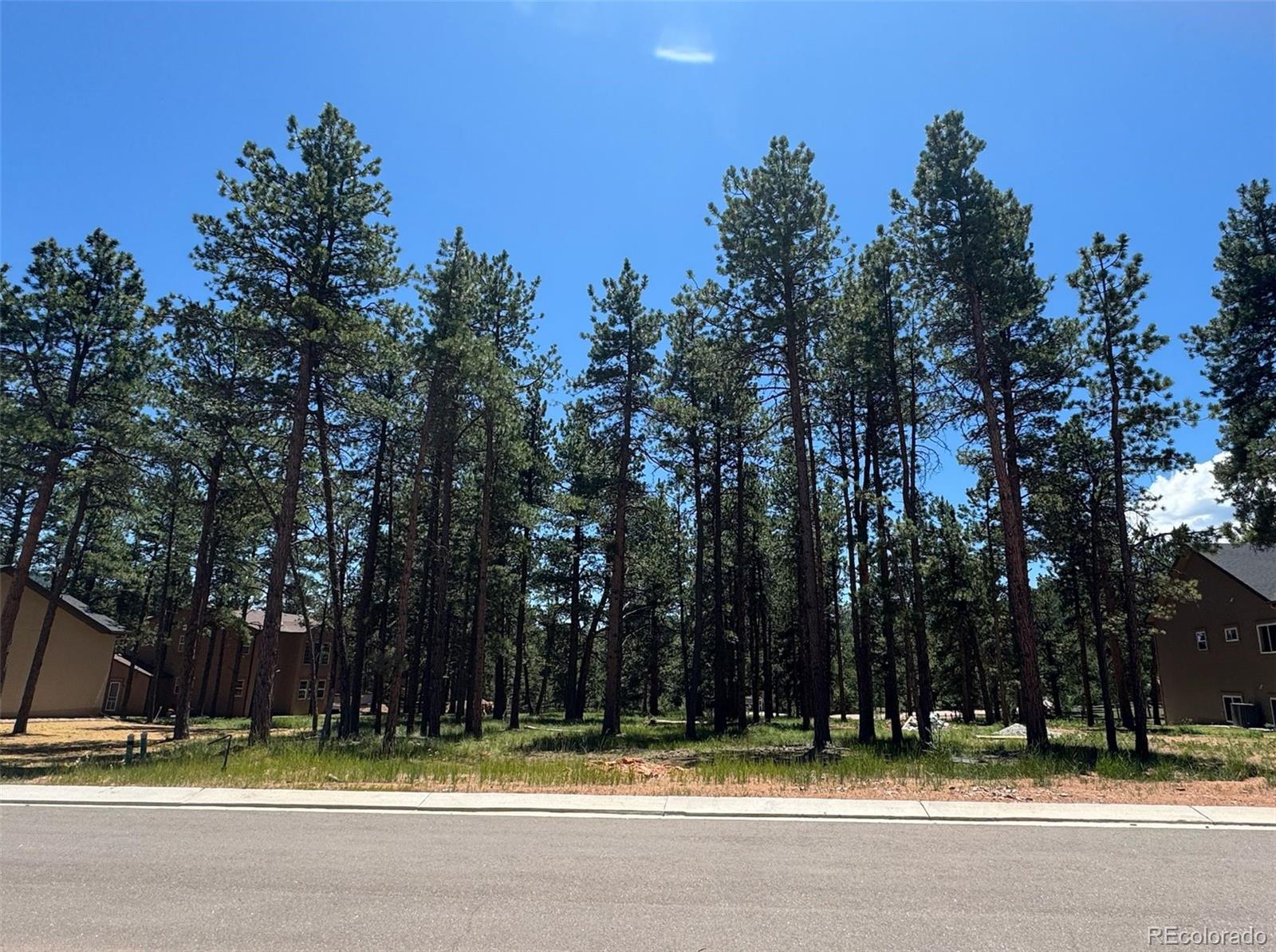 1287 Firestone Drive Woodland Park CO 80863