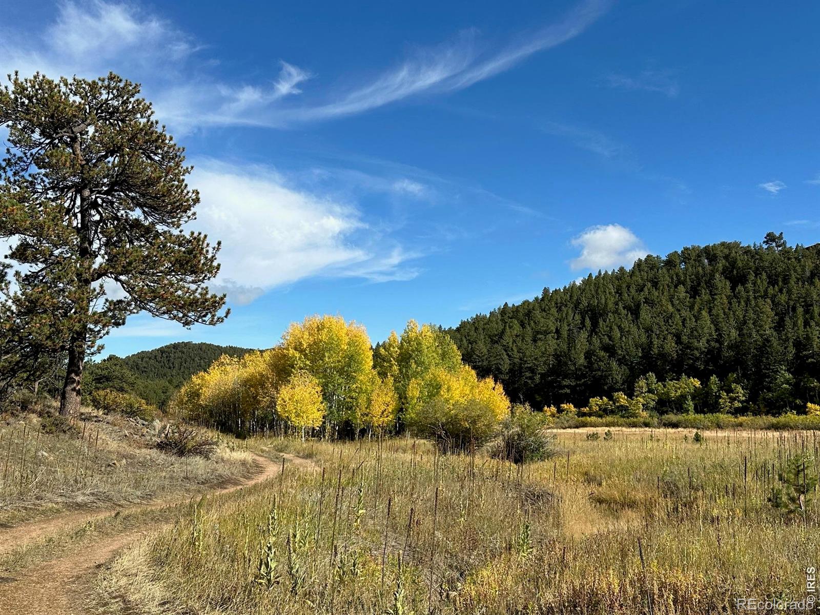 17667 Highway 7 Lyons CO 80540