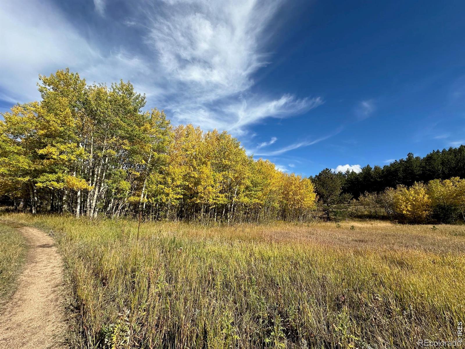 17667 Highway 7 Lyons CO 80540