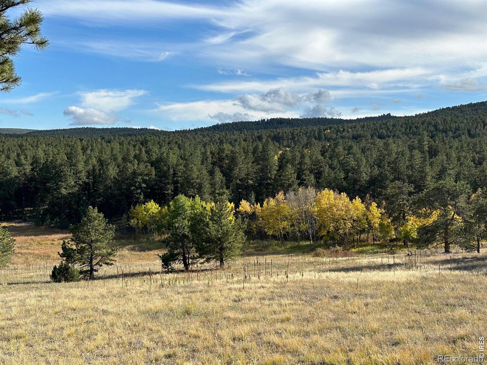 17667 Highway 7 Lyons CO 80540