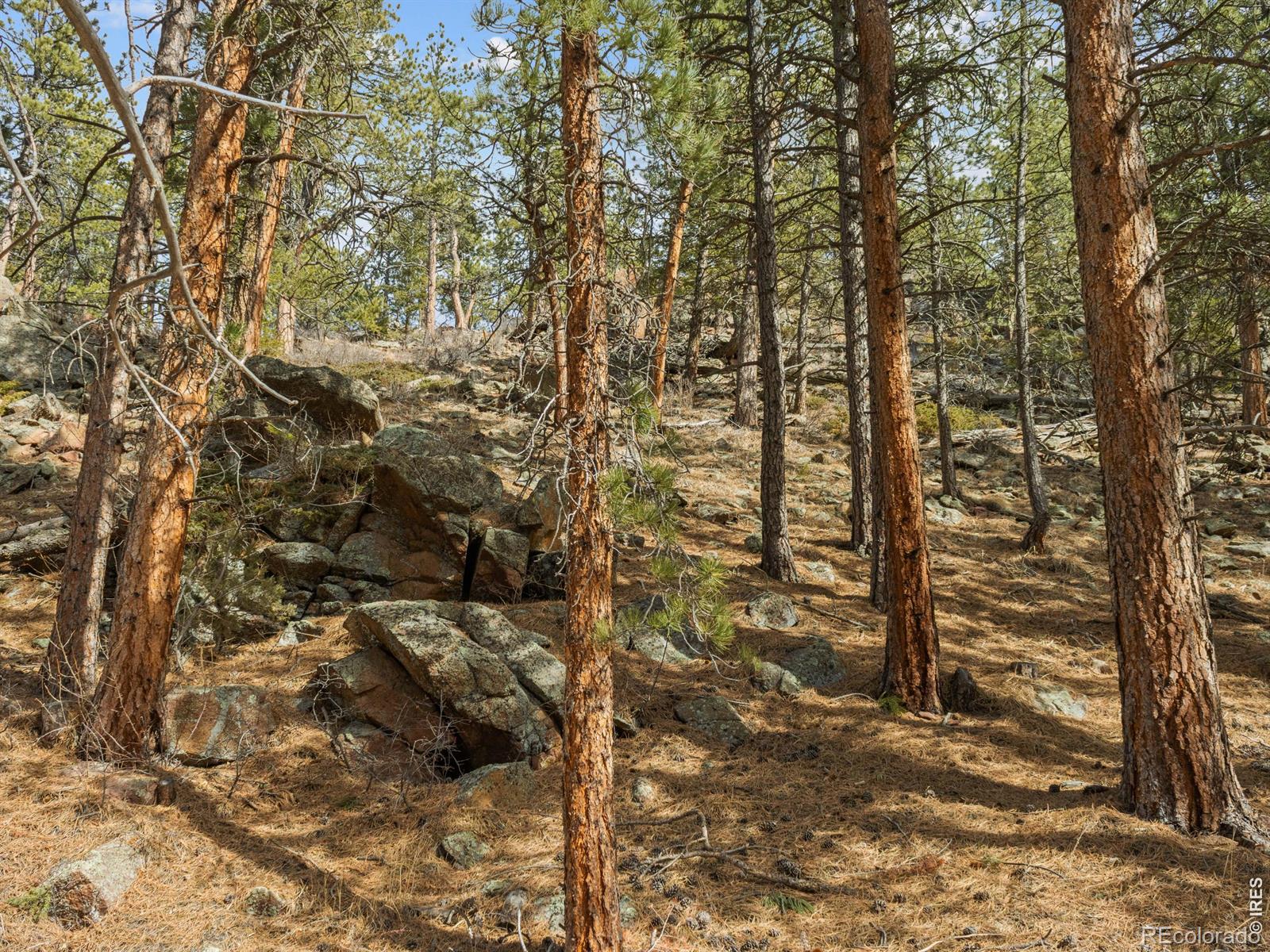 17667 Highway 7 Lyons CO 80540
