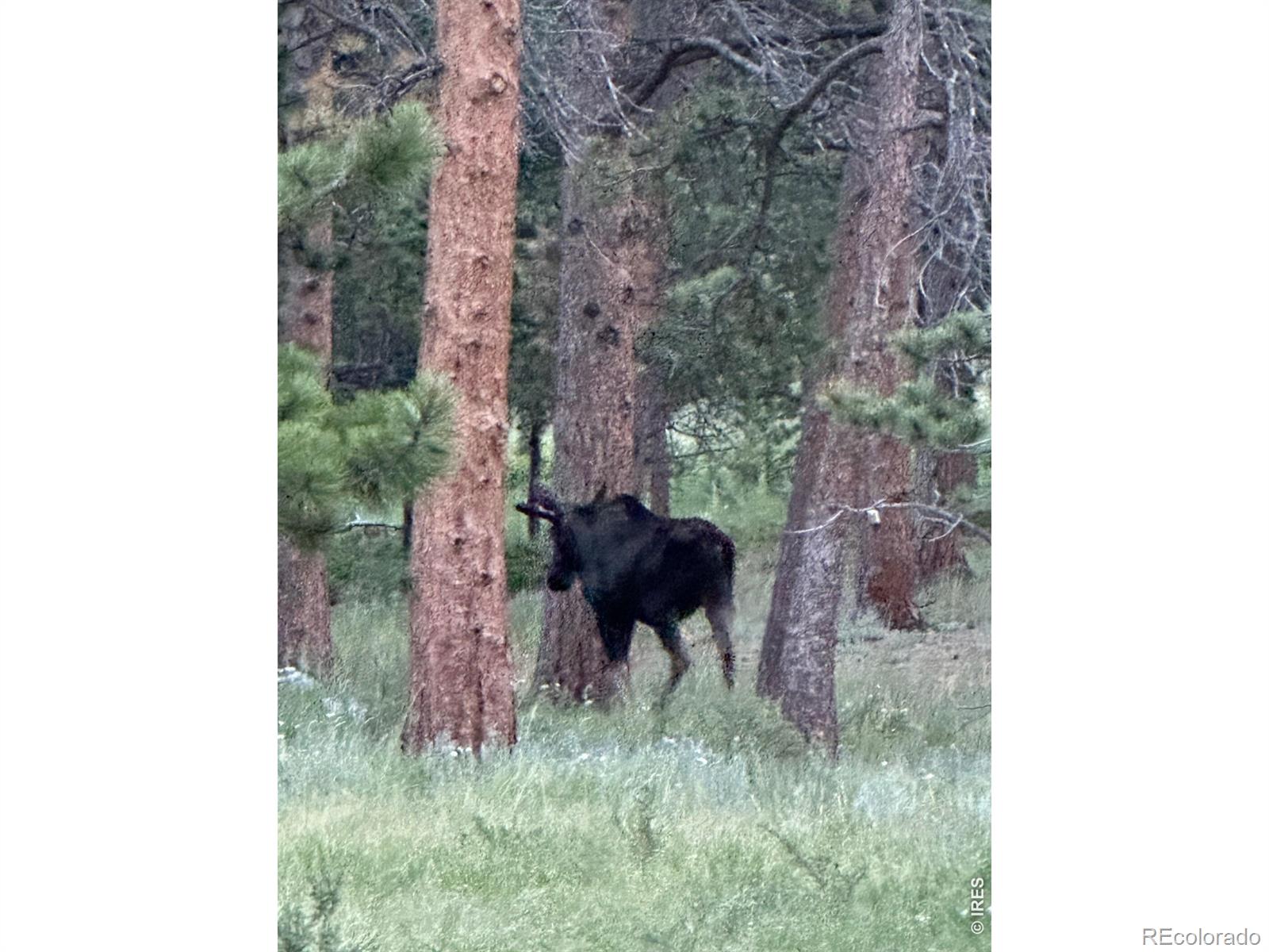 17667 Highway 7 Lyons CO 80540