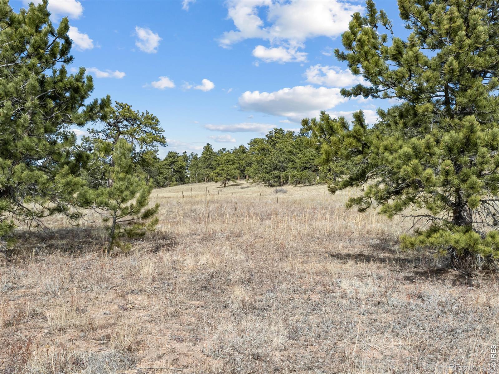 17667 Highway 7 Lyons CO 80540
