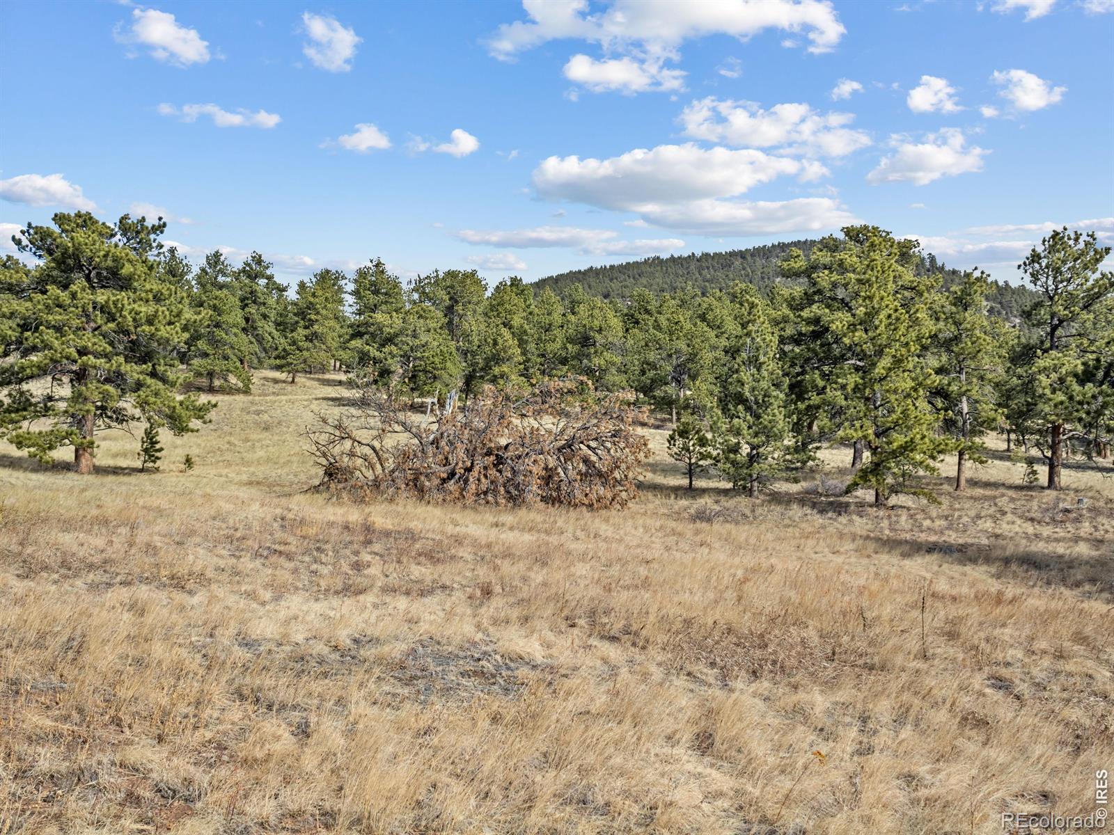 17667 Highway 7 Lyons CO 80540