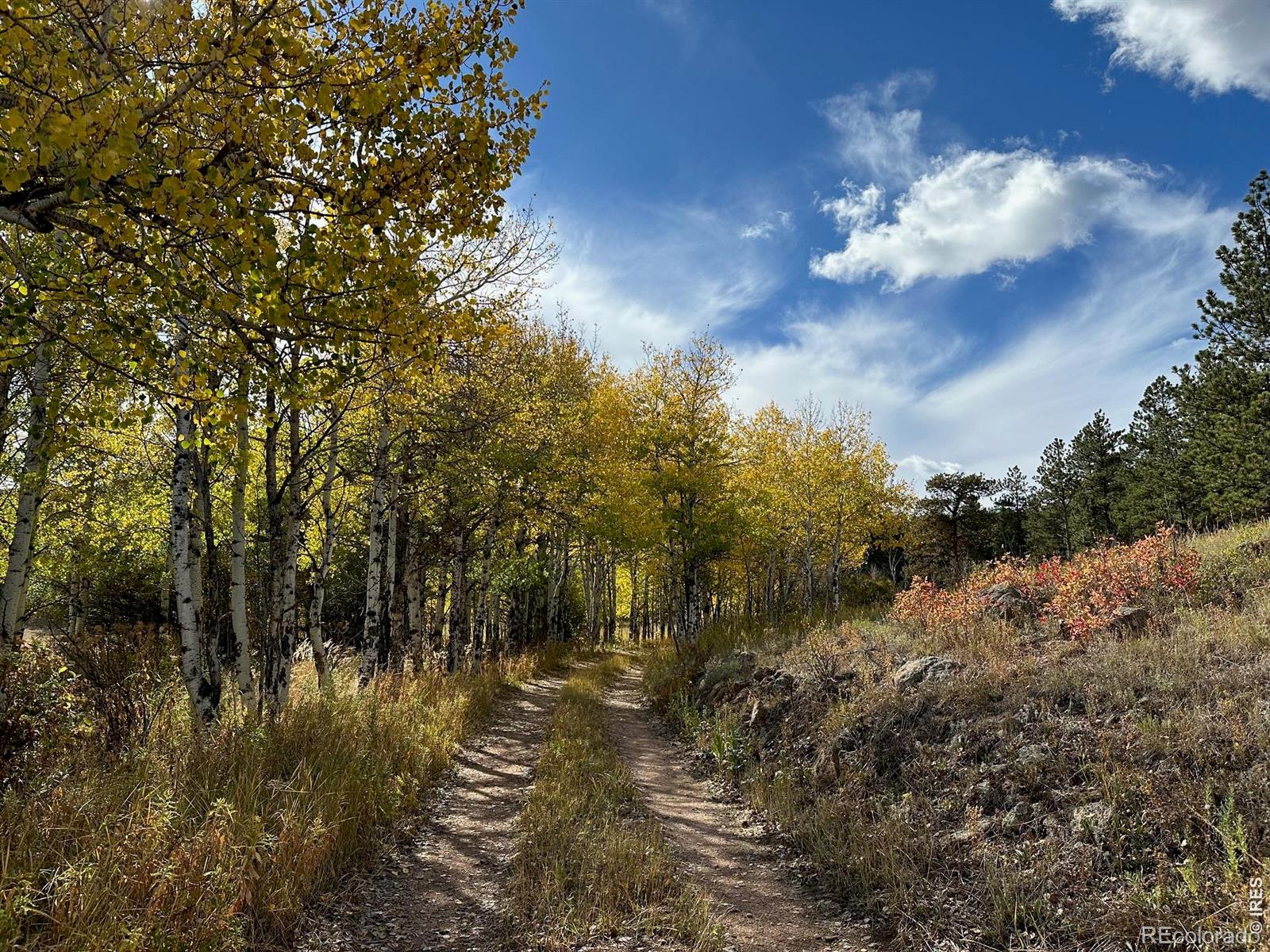 17667 Highway 7 Lyons CO 80540