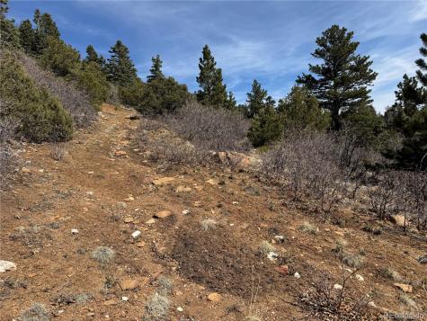 Trail Drive Cotopaxi CO 81223